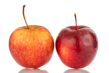 Two red ripe apples, macro, isolated on white background.