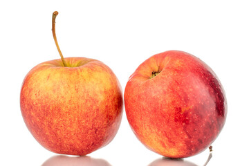 Two red ripe apples, macro, isolated on white background.