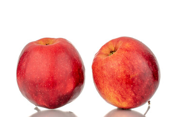 Two red ripe apples, macro, isolated on white background.