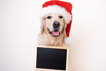 A Christmas dog sitting on a white background with a chalkboard for text. Postcard with a golden...