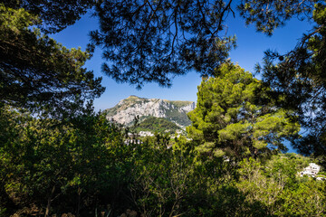Mount Solaro on the Island of Capri framed by vegetation on a bright sunny day.