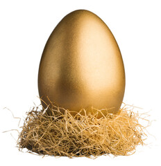 Beautiful golden easter egg in the nest