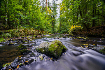 Flusslandschaft in Sachsen, das L&ouml;bauer Wasser- im Herzen der Oberlausitz 3