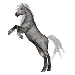 Obraz na płótnie Canvas White horse rearing - 3D render