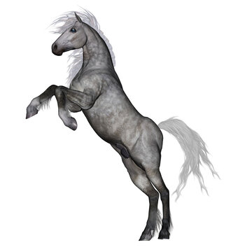 White horse rearing - 3D render
