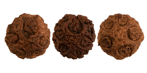 Dracontomelon dao fruits on transparent background.top view.