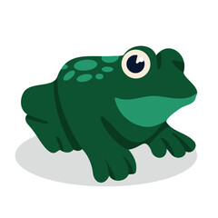 Green bullfrog isolated on white. Flat vector eps. Toad. Frog.