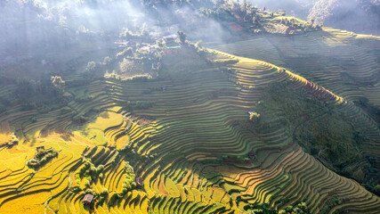 Fototapeta na wymiar Rice fields on terraced prepare the harvest at Northwest Vietnam.