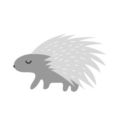 Porcupine african animal vector. Safari animal illustration on white background