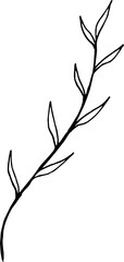 Fototapeta premium branch outline