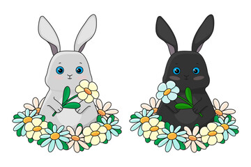 A black bunny and a gray bunny with a flowers on a white background. Vector illustration
