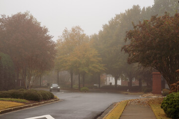 The season of autumn has arrived in the United States. The various leaf colors represent the changing circle from summer to fall. Steps for changing begin with green, yellow, and red color of leaves.