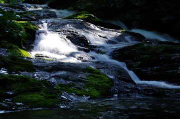 beautiful fresh green nature scenic landscape waterfall in deep tropical jungle rain forest