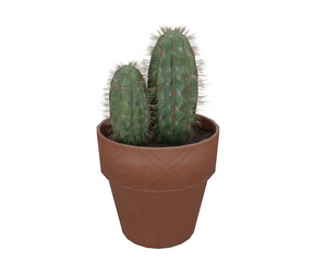 3d rendering realistic potted cactus