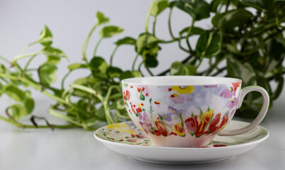 Cup of tea and plant