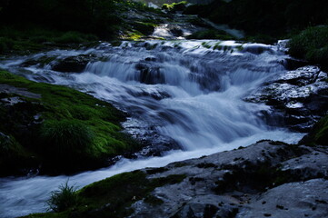 Obraz premium beautiful fresh green nature scenic landscape waterfall in deep tropical jungle rain forest