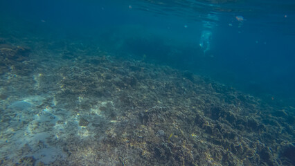 Panoramic scene under water and blue background
