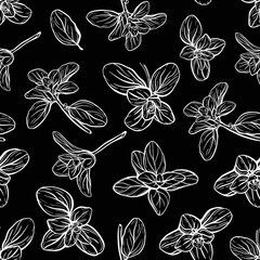 Fototapeta premium Basil Seamless Pattern. Italian herbs.A sprig of marjoram. Basil is a fragrant and fragrant seasoning. Hand-drawn illustration