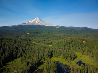 Fototapeta premium A green, hilly meadow and a high snow-capped mountain in the distance. Clear cloudless sky. The beauty and grandeur of pristine nature, environmental protection, weather, climate.