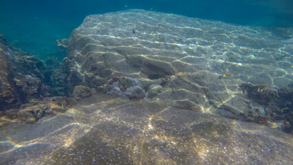 Panoramic scene under water and blue background