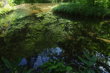 reflection river water nature forest landscape tree stream tree green lake summertime go fly park tree trees plant