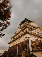 Fototapeta premium Japan