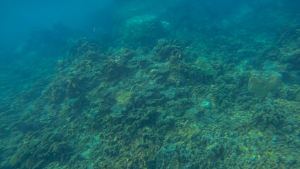 Fototapeta na wymiar Panoramic scene under water and blue background