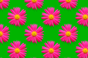 Obraz premium Buds of pink flowers with water drops on a green background. Seamless texture. Complimentary colors.