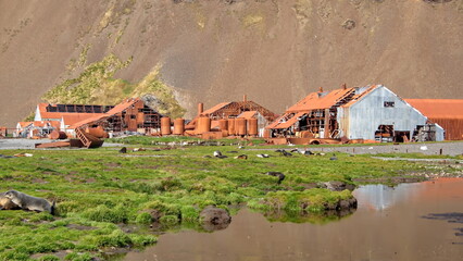 Rusted remains of the old whaling station at Stromness, South Georgia Island, with a pond in the foreground