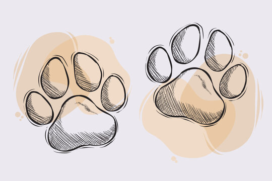 Cat paws sketch line pets simple fun kitten Vector Image