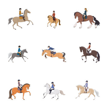 Various directions of equestrian sports, show jumping, dressage, pony sports, hobbies