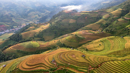 Fototapeta premium Rice fields on terraced prepare the harvest at Northwest Vietnam.