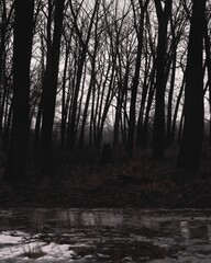 Dark silhouette in gloomy autumn forest, horror atmosphere