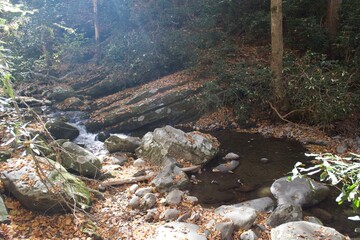 Fall Memories