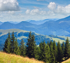 Summer mountain landscape with flowering grassland in front