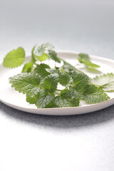 Freshly harvested Lemon balm leaves on white porcelain  plate.