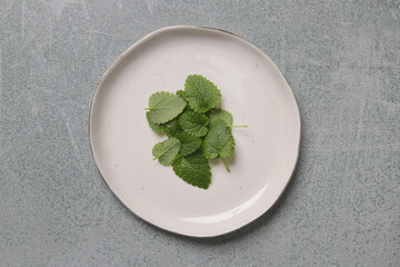 Freshly harvested Lemon balm leaves on white porcelain  plate.