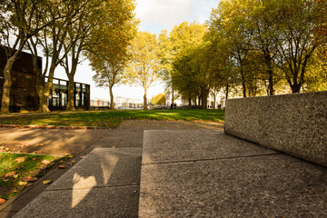 Concrete steps in the foreground of an emtpy autumnal park during fall