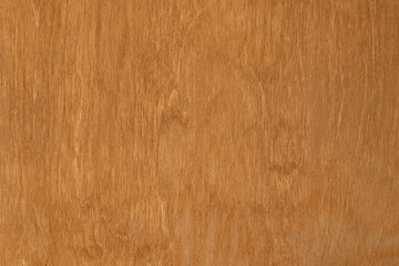 Wood texture background. Wooden panel.