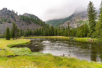 Foggy morning in the valley in Yellowstone National Park.