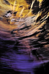 Painting, the Rocona