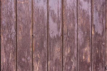 Obraz premium peeling wooden staves of a door – a texture
