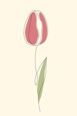 Tulip continuous one line icon. Isolated single flower silhouette. Modern minimal style linear logo. Floral illustration