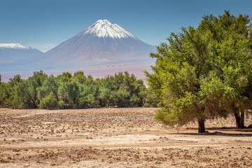 Licancabur at sunny day, Atacama, volcanic landscape, Chile, South America