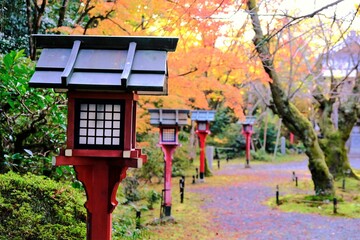絶景，秋，紅葉，京都，日本，お寺，水の波，風景, 旅行, 建築, 自然, 木, 背景, 黄色, 庭, 光