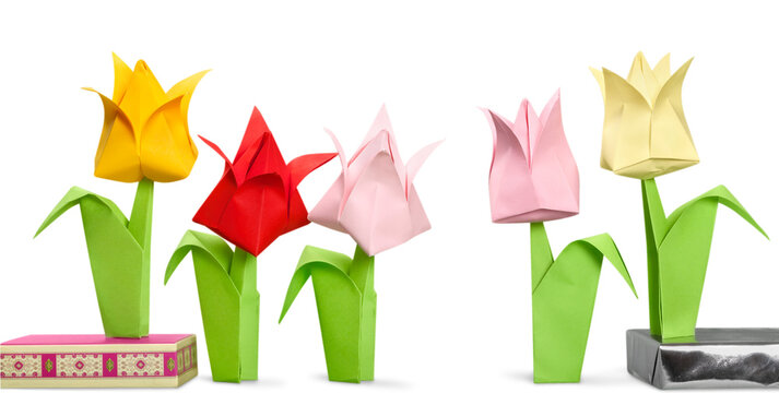 Different colorful origami tulip flowers