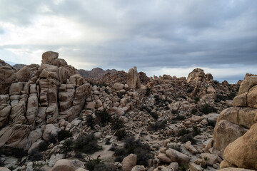 Fototapeta na wymiar Joshua Tree National Park rock formations
