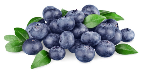 blueberries isolated