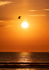 Sunrise over the Atlantic ocean (Hampton beach, HN, USA)