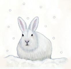雪降る中のウサギ
